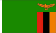 Zambia Hand Waving Flags